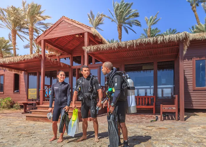 Grand Rotana & Resort 5*