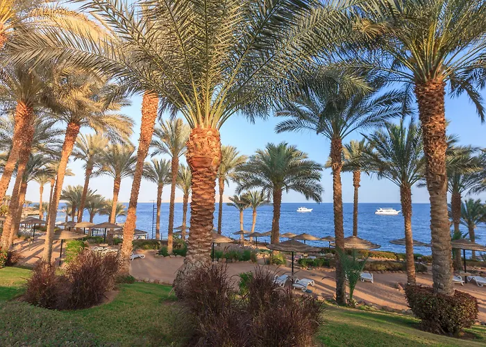 Grand Rotana & Sharm El-Sheikh